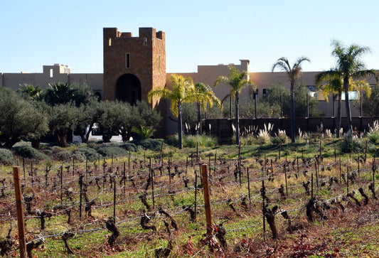 Wein, Kultur & Genuss