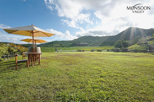 Wieder da: Monsoon Valley Weine aus Thailand
