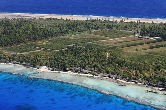 Noch bis 31. Januar: Vin de Tahiti reduziert - Südsee-Feeling in Flaschen
