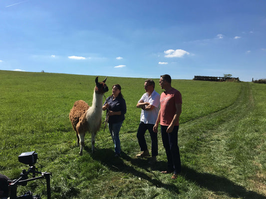 Neues Wein-Video: Wein & Lamas