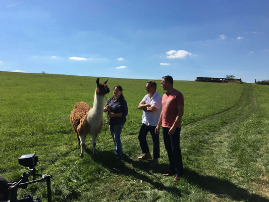 Neues Wein-Video: Wein & Lamas