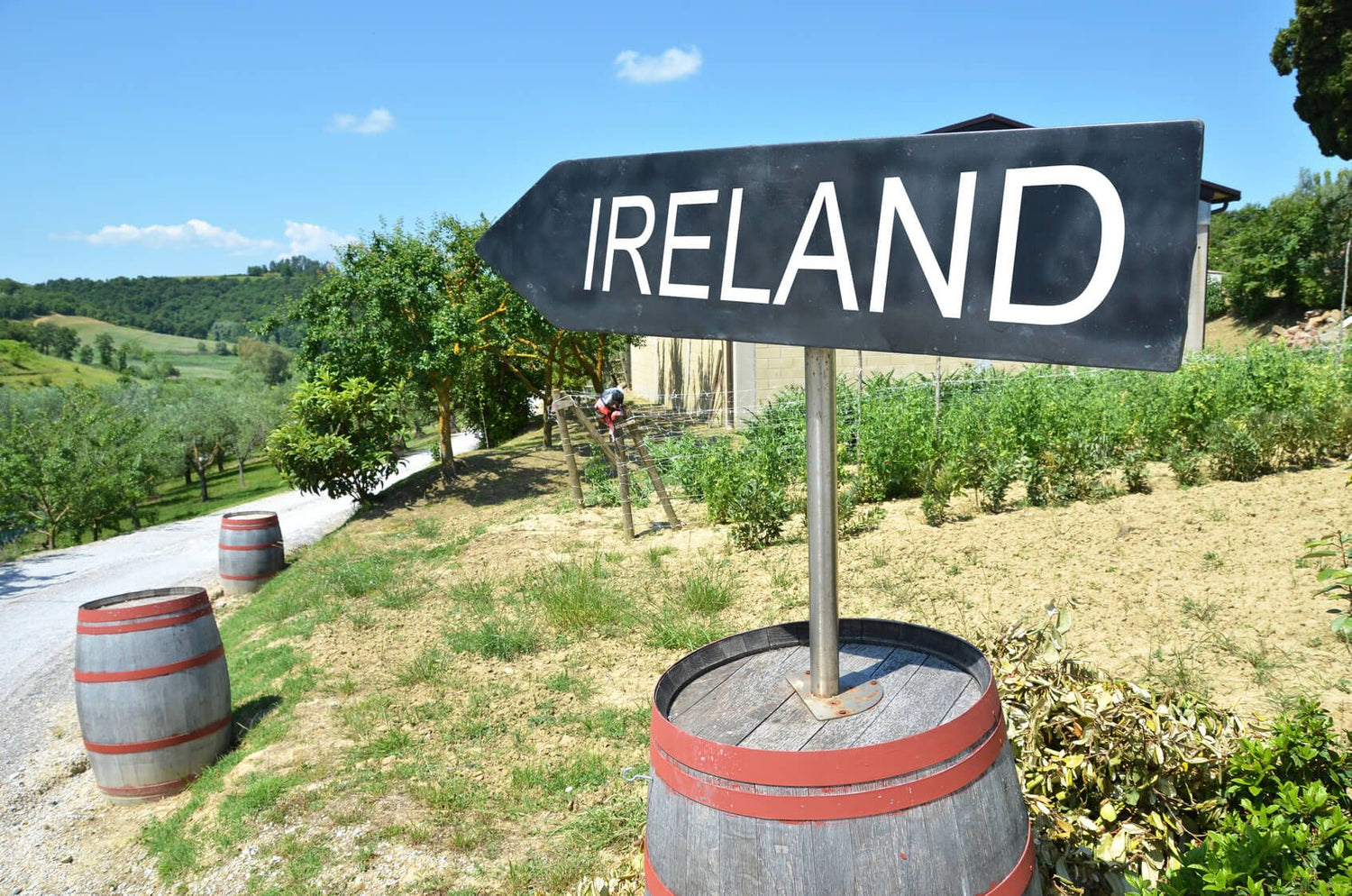 Weine aus Irland