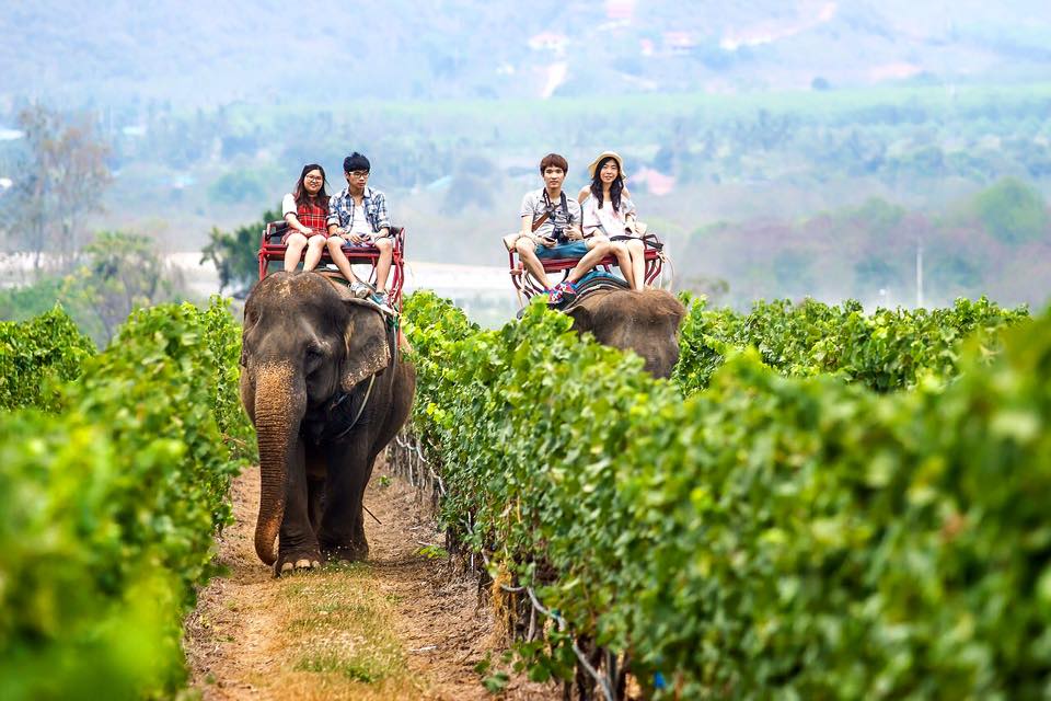 Weine aus Thailand