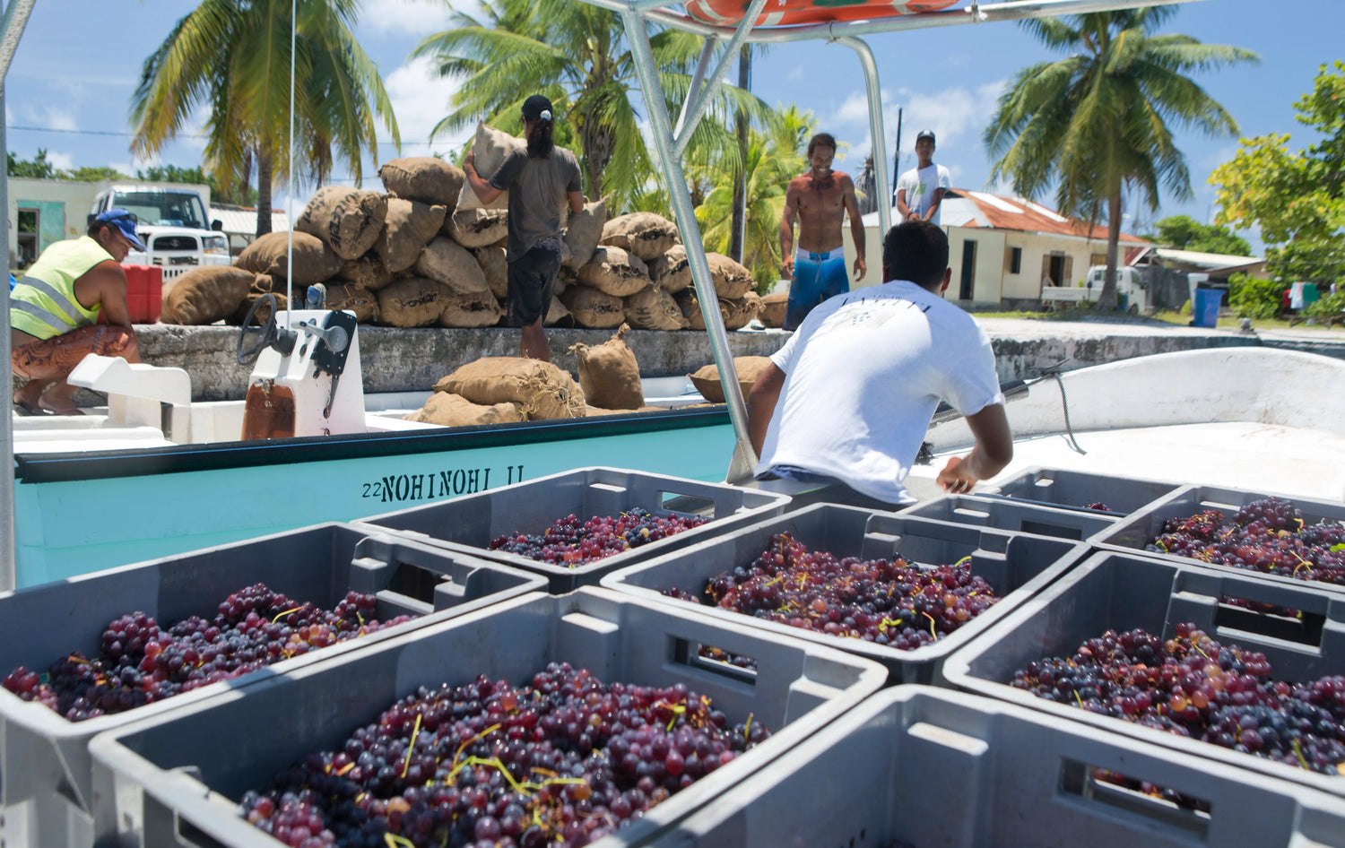 Weine aus Tahiti