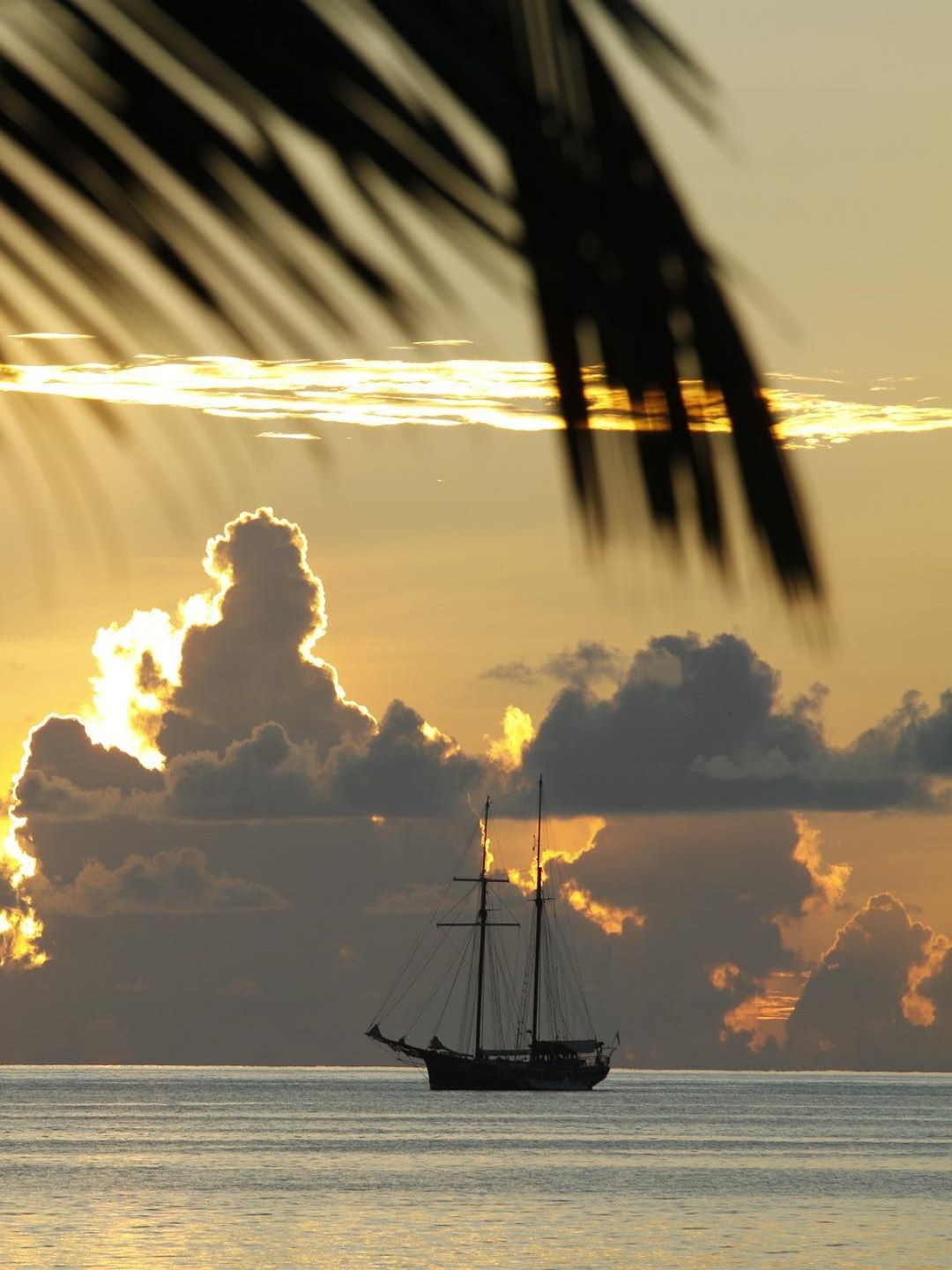 Segelschiff bei Abenddämmerung mit Palmenblatt im Vordergrund