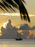 Segelschiff bei Abenddämmerung mit Palmenblatt im Vordergrund