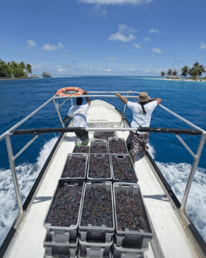 Boot mit Weintrauben von Vin de Tahiti im Pazifik