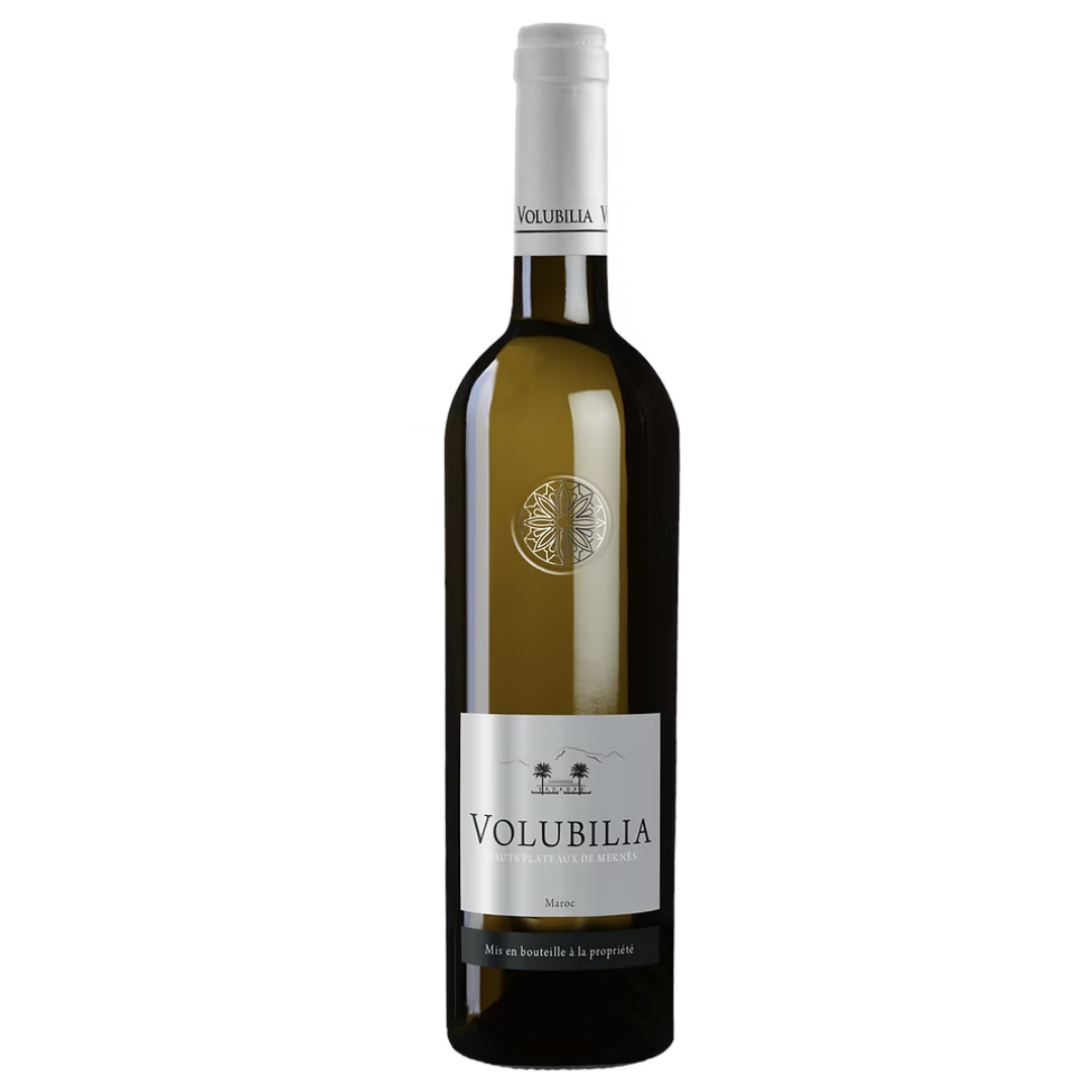 Marokkanischer Weißwein Volubilia Blanc | Chaivallier